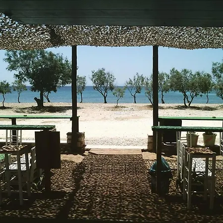 Summer House By The Sea