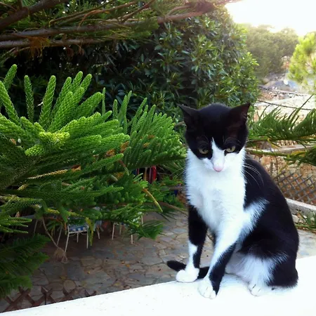 Apartment House 50m From Glyfa In Paros - Spacious 2br With Private Garden Aspro Chorio