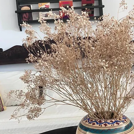 Apartment Summer House By The Sea Aspro Chorio