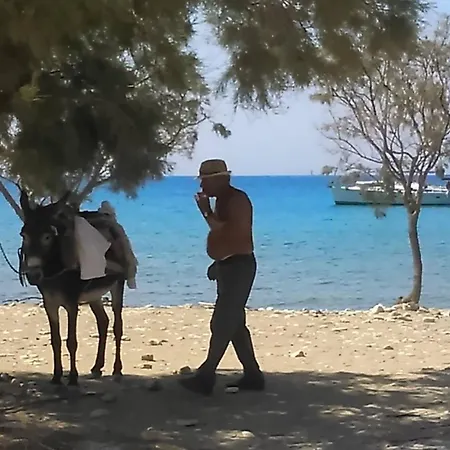 Summer House By The Sea Apartment