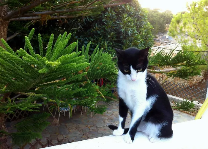 Apartment Summer House By The Sea Aspro Chorio