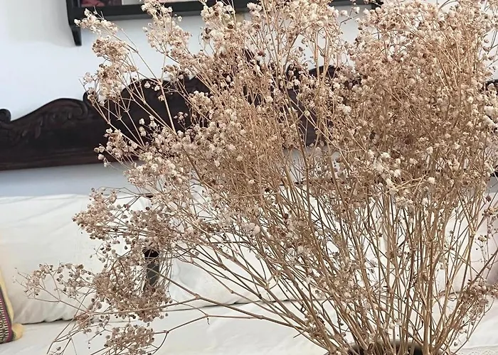 Апартаменты Summer House By The Sea Aspro Chorio