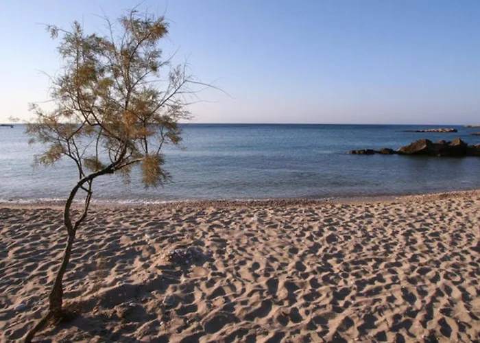 Summer House By The Sea