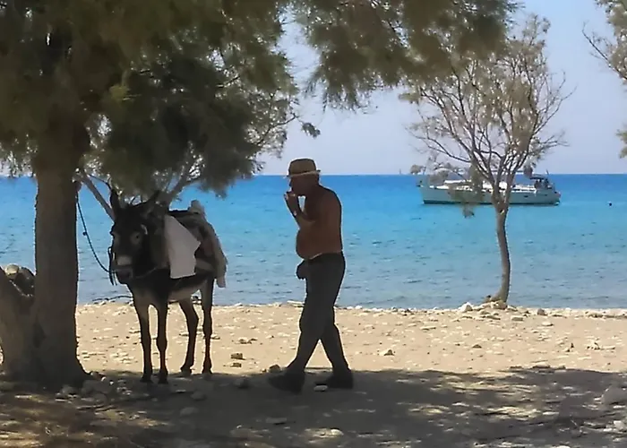 Summer House By The Sea Apartment